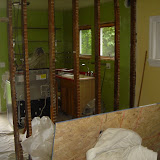 All the lathe and plaster is removed - the framing will come out next