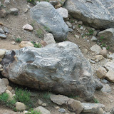 IMG_7869.JPG