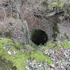 dsc05113.jpg