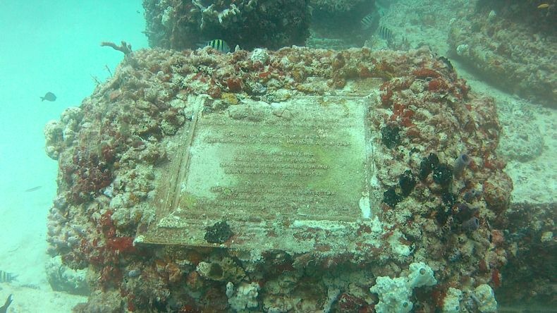بالفيديو: نبتون ميموريال ريف .. أول مقبرة تحت البحر Neptune-reef-1%25255B6%25255D