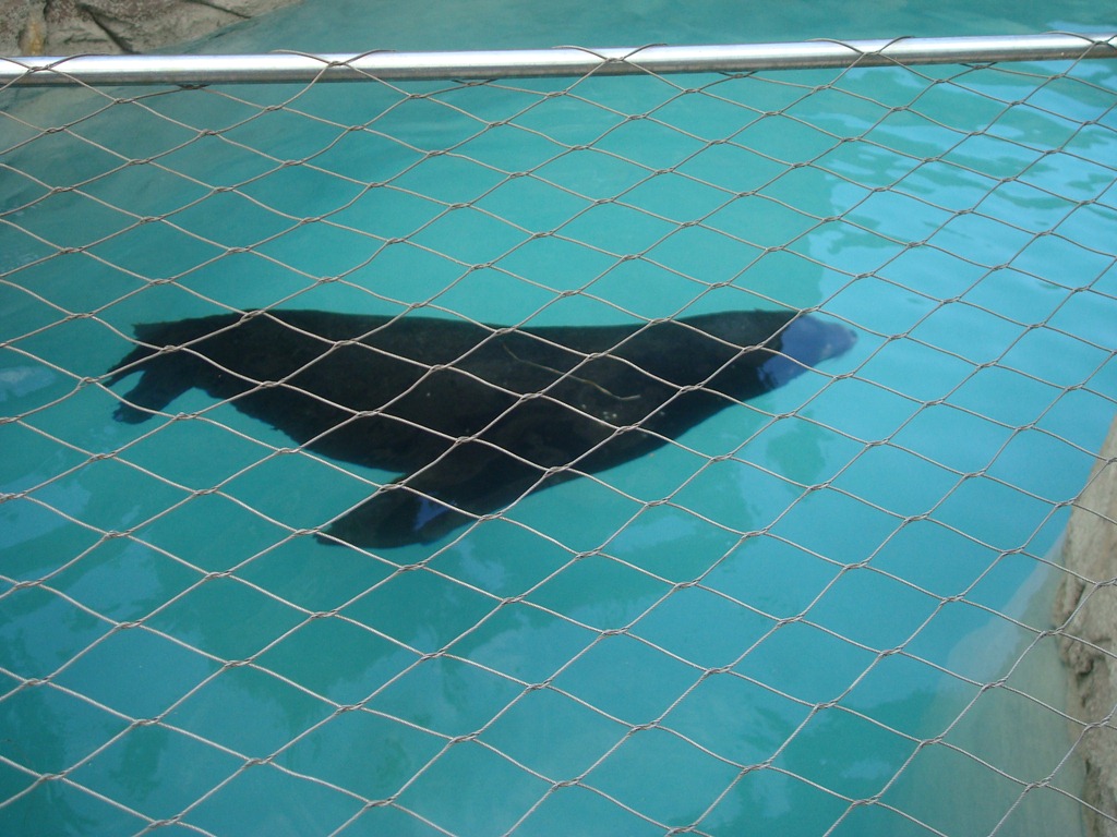 [DSC02268%255B3%255D.jpg]