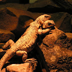 Oklahoma City Zoo