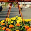 IMG_1157.JPG
