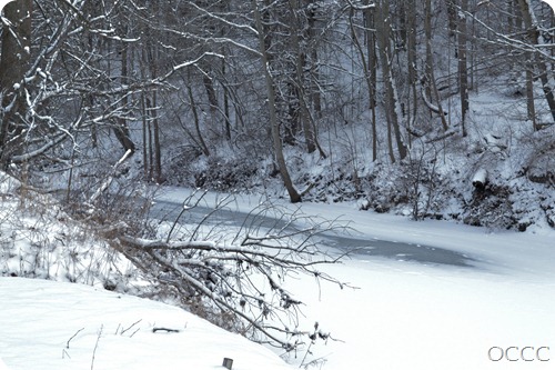 winter scenery (1 of 1) winter scenery (1 of 1)