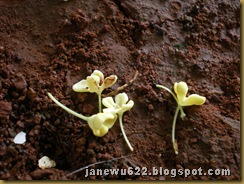 IMGP0045