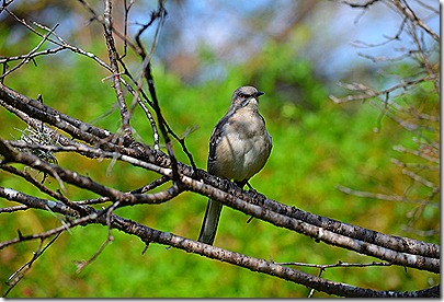 DSC_0308 DSC_0308