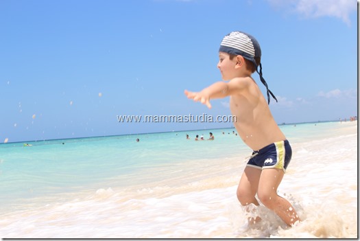 IMG_2108 IMG_2108