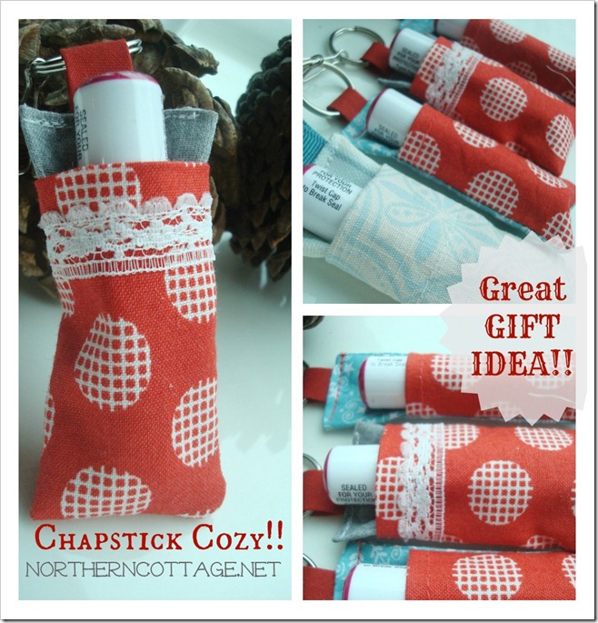 chapstick cozy gift idea