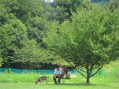 DSC08459 DSC08459