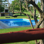 DSC_0436.JPG