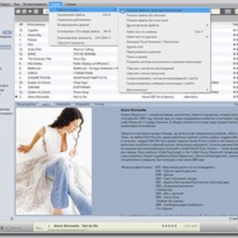 MusicBee – легкий и бесплатный многофункциональный музыкальный плейер