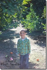 Talan web-3