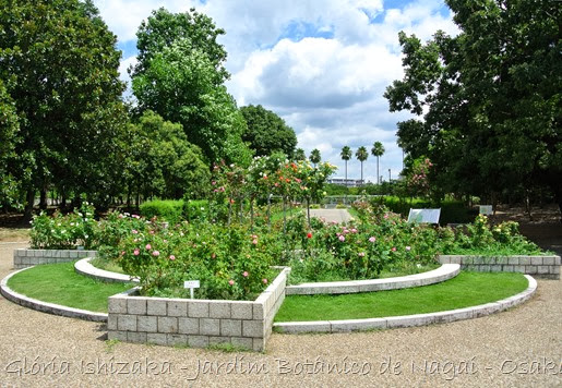 11a - Glória Ishizaka - Jardim Botânico Nagai - Osaka