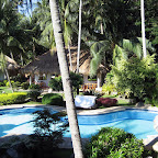 Pool with view at out bungalow at Pura Vida (Dauin, Negros)