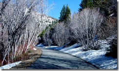 may2011lambscanyon5