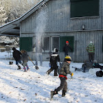 Bevers_in_de_sneeuw_2012_013.jpg