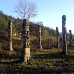 dsc00735.jpg