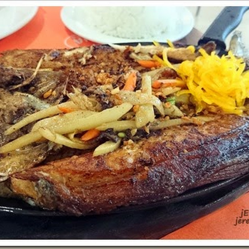 Restaurant Review Marina Oysters Seafood Grill jE's AnAtOmY