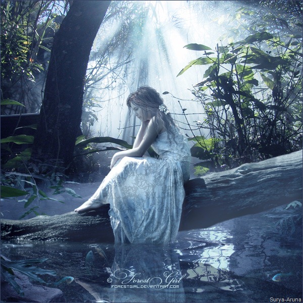 [Solstice_Night_by_ForestGirl%255B7%255D.jpg]