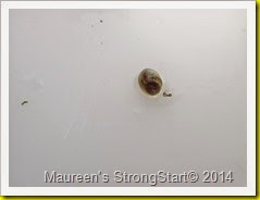 IMG_4699 IMG_4699