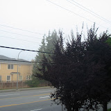 The World in Fog