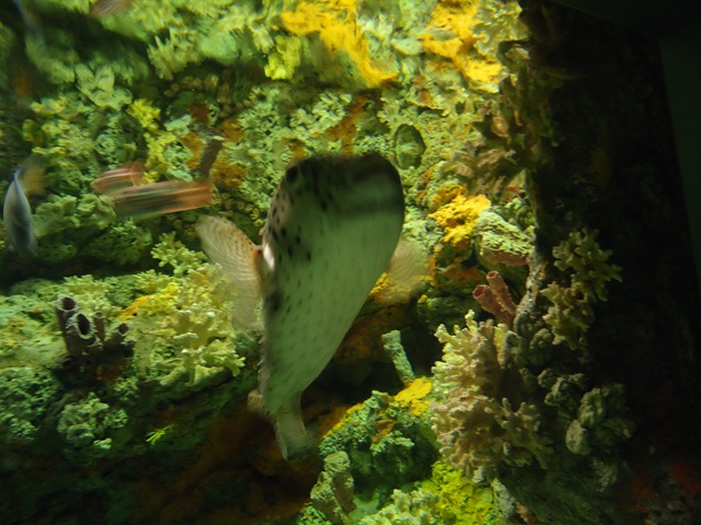 [DSC09630%255B2%255D.jpg]
