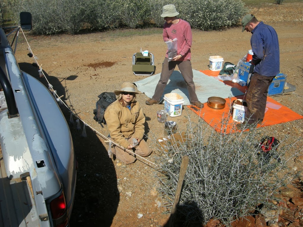 [DSCN0684%255B3%255D.jpg]