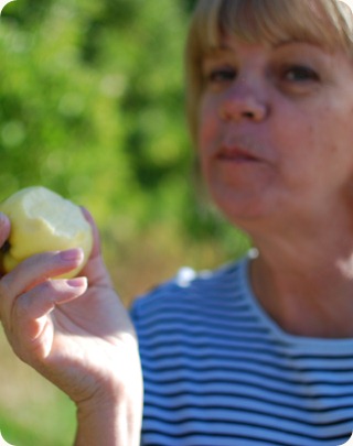 Apple Picking (7)