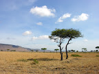 DSCN5793.JPG