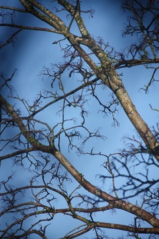 buiten