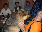 CIMG3863.jpg