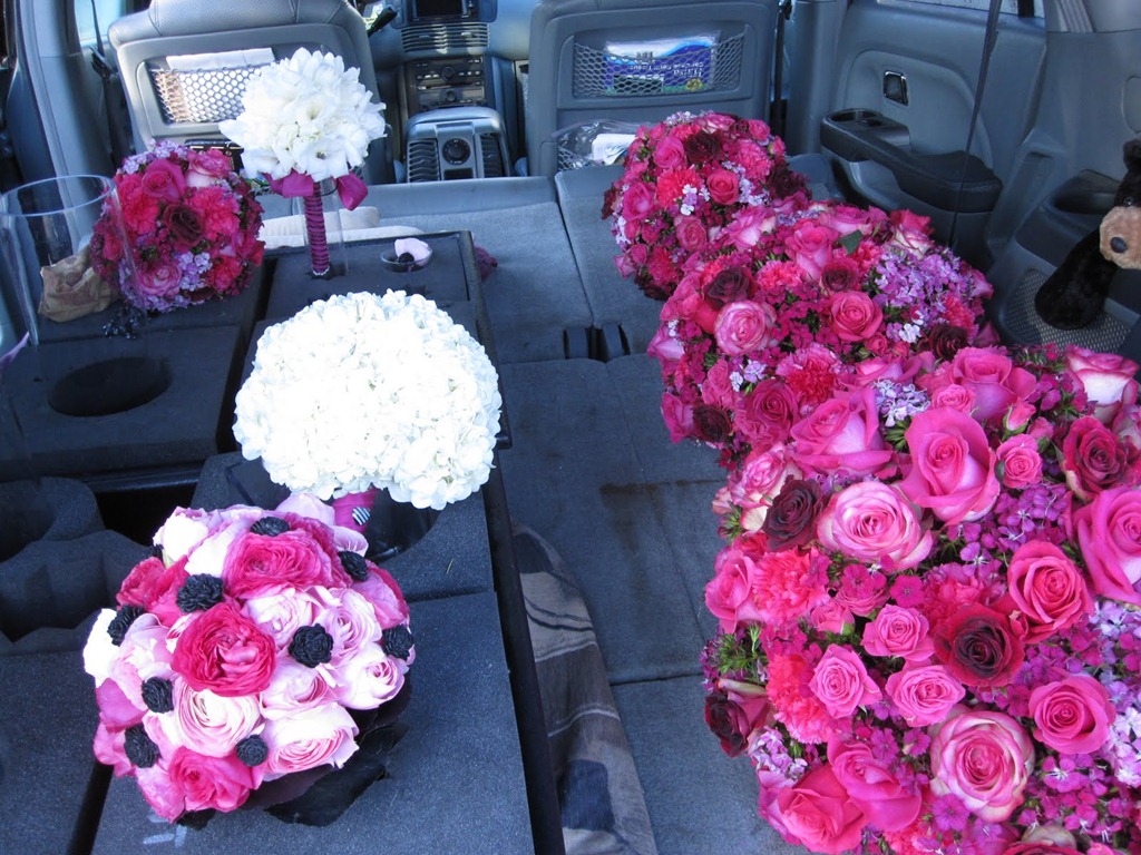 [romance-on-the-water-2-pixies-petals.jpg]