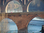 Albi