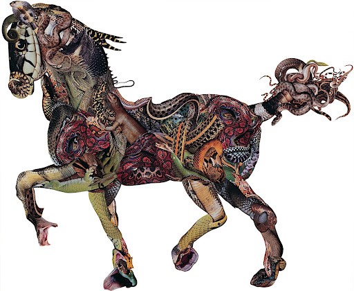 snake_horse.jpg