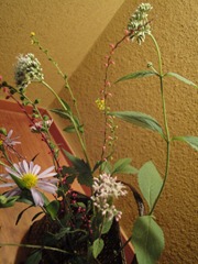 DSC02249 DSC02249