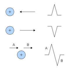325px-ECG_Vector.svg 325px-ECG_Vector.svg
