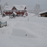 Bon dia a la Vila del Pingüí!
Good Morning at Penguin Village!