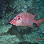DSC00115.JPG