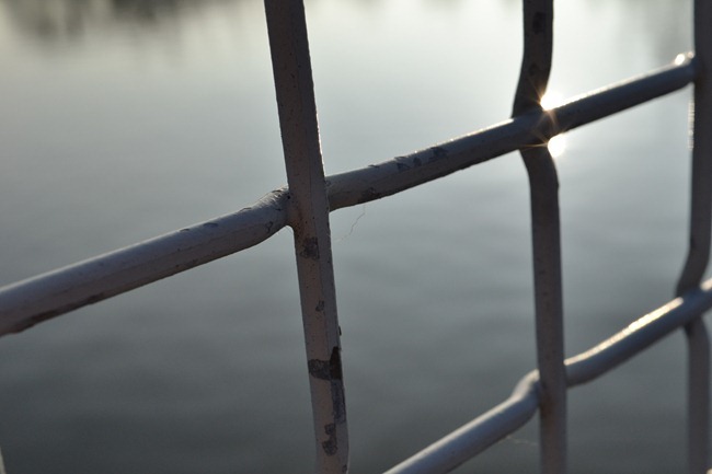 DSC_0256 DSC_0256