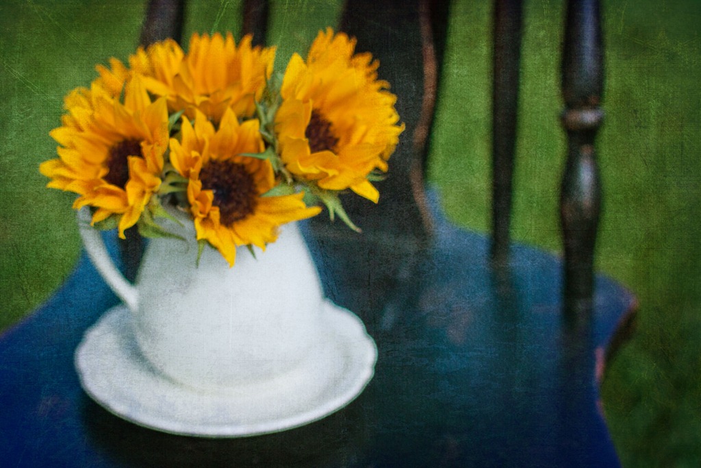 [summersunflowers2%255B5%255D.jpg]