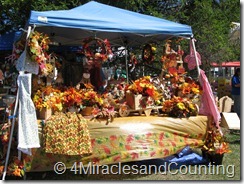 IMG_6146 IMG_6146