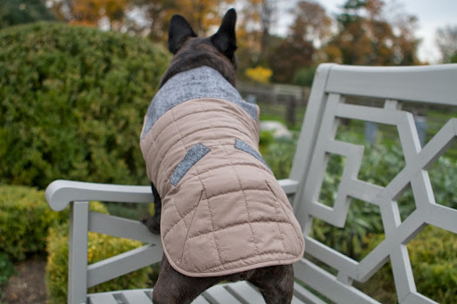 This sleeveless coat is designed with faux tweed pockets and a high-waist for easy waste, if you know what I mean. This sleeveless coat is designed with faux tweed pockets and a high-waist for easy waste, if you know what I mean.