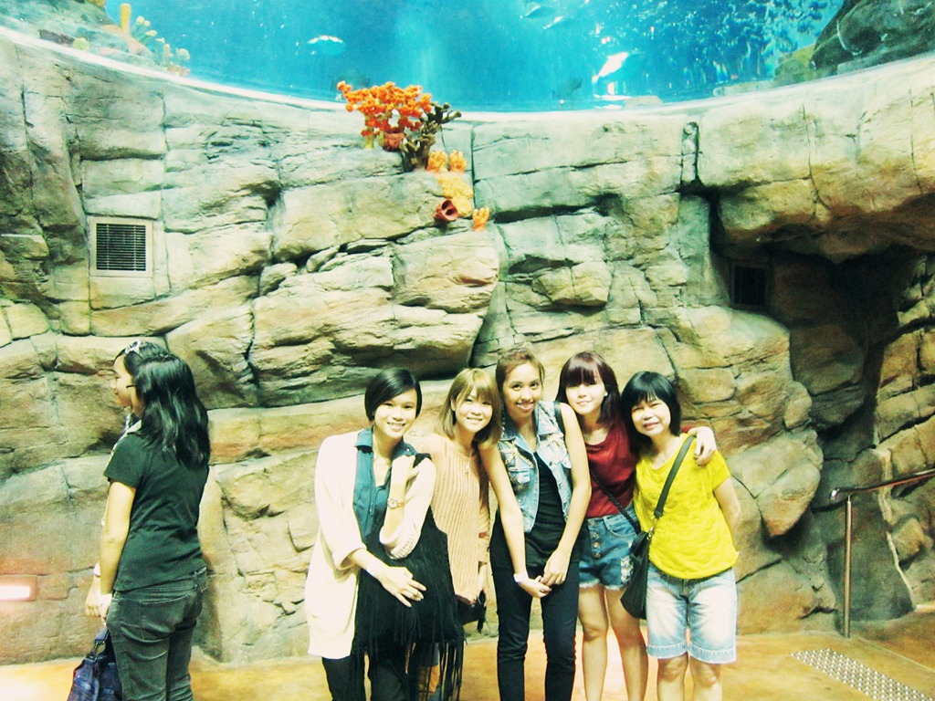 [IMG_9718%255B7%255D.jpg]