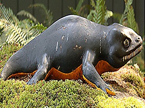 Seymauria-Lepidosaurus Seymauria-Lepidosaurus