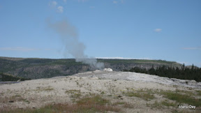 IMG_4126.jpg