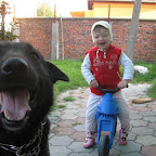Godo Mihaela