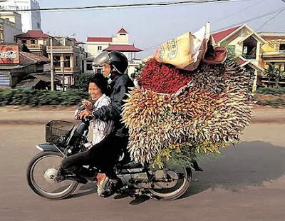 bick02.jpg