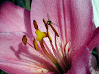 DSCF9960.JPG