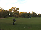 Oct 12 - Golfers & Kangaroos