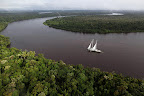 Greenpeace's newest Rainbow Warrior vessel sails through the Amazon. The campaign group is lobbying for a zero deforestation law.
Photograph: Rodrigo Baléia/Greenpeace